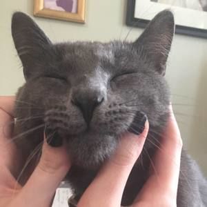 Meet your Posher, Fiona